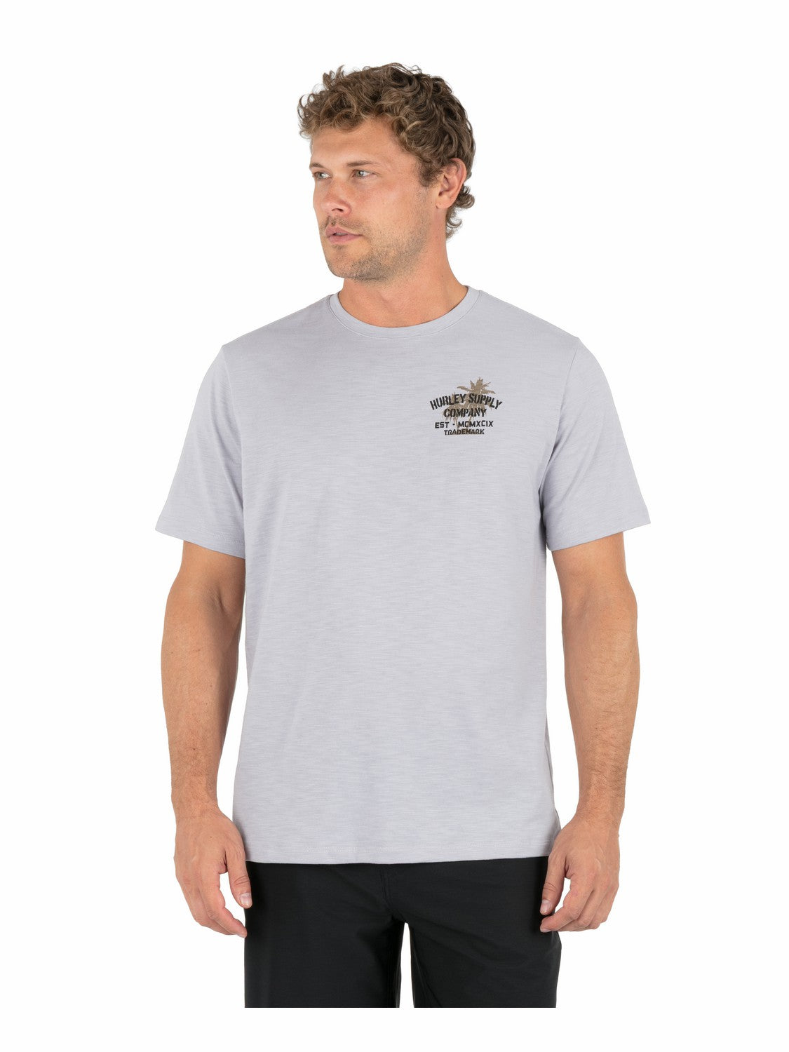 Hurley On Sale | Shape Shack Slub Short Sleeve - Light Asteroid