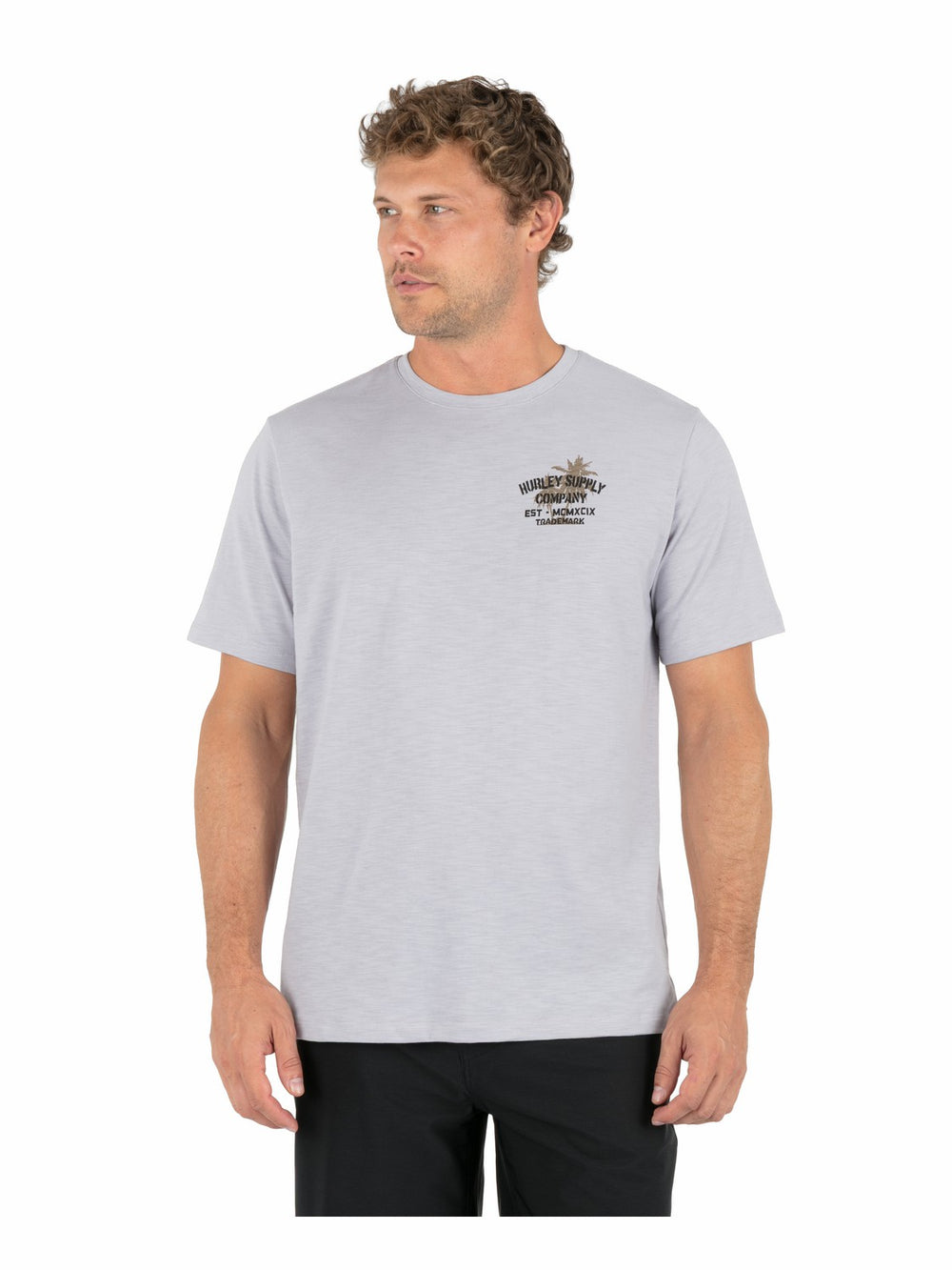 Hurley On Sale | Shape Shack Slub Short Sleeve - Light Asteroid
