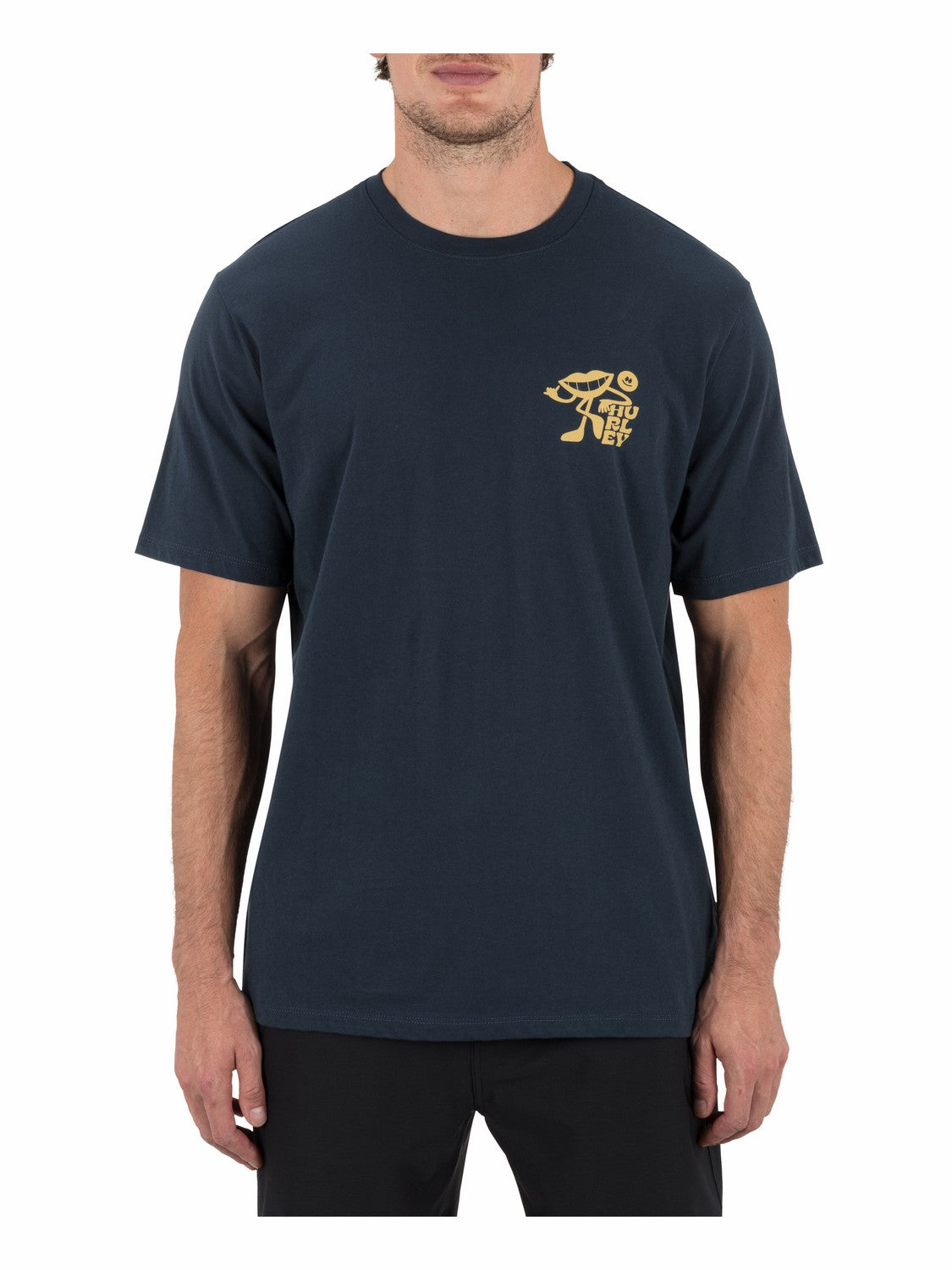 Hurley | All Smiles Short Sleeve - Armored Navy